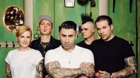 Broilers